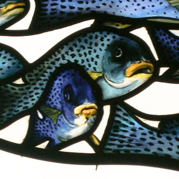 Plants: image 4 0f 4 thumb