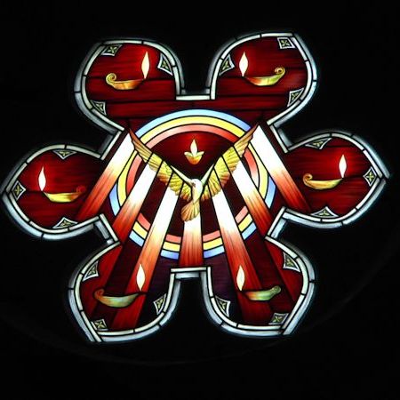 Plants: image 4 0f 4 thumb